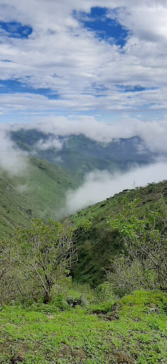 Lagunas