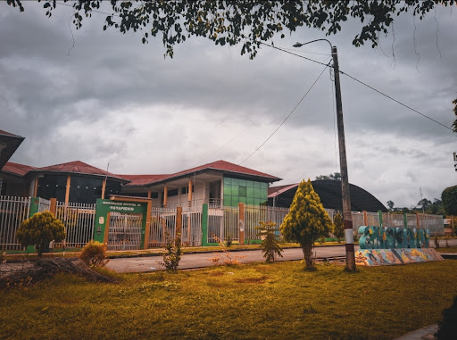 municipalidad distrital de yuyapichis
