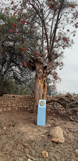 Caravelí